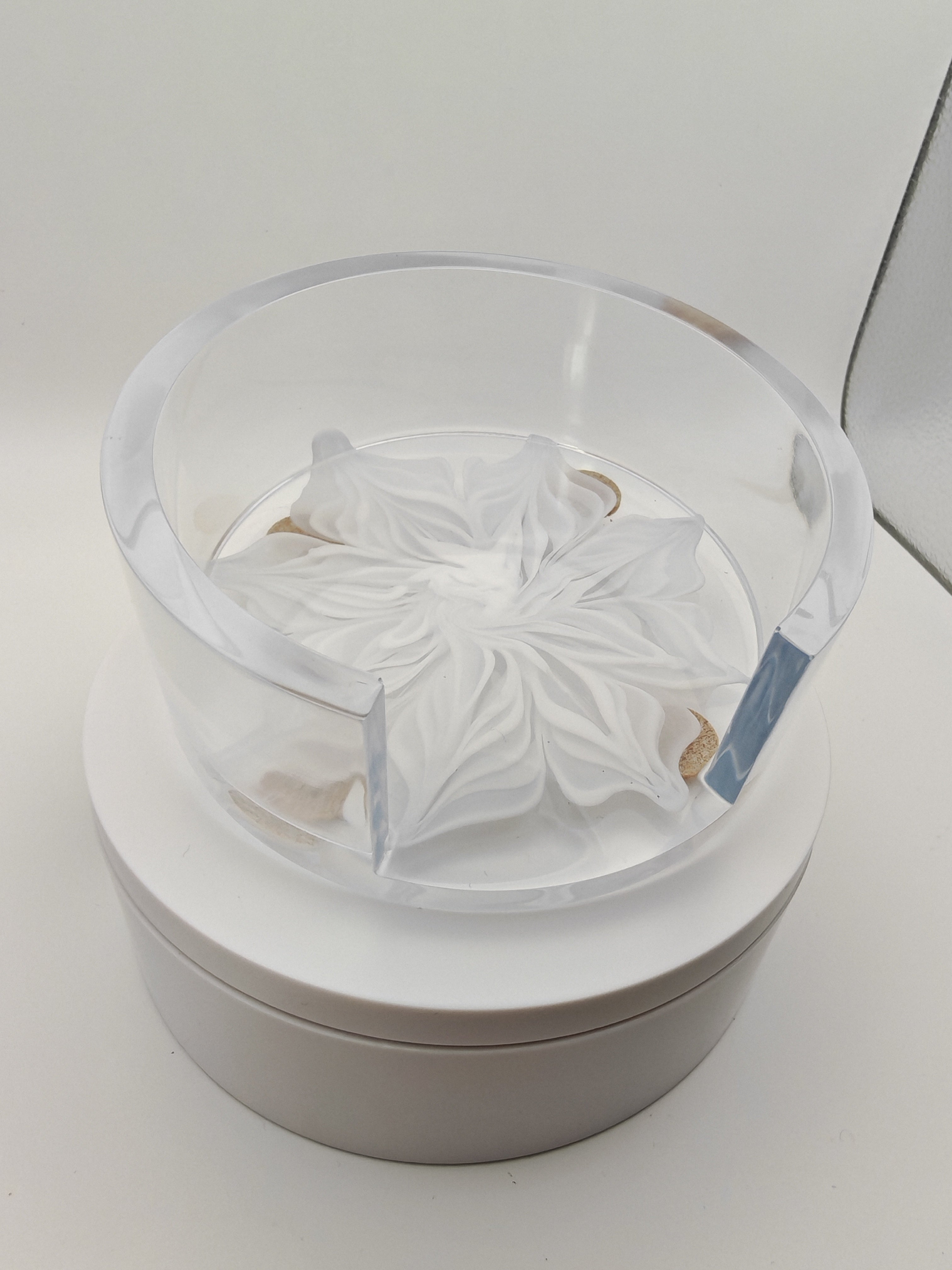 Floral Resin Coaster Set: Colorful Flower Designs with White Bloom Stand