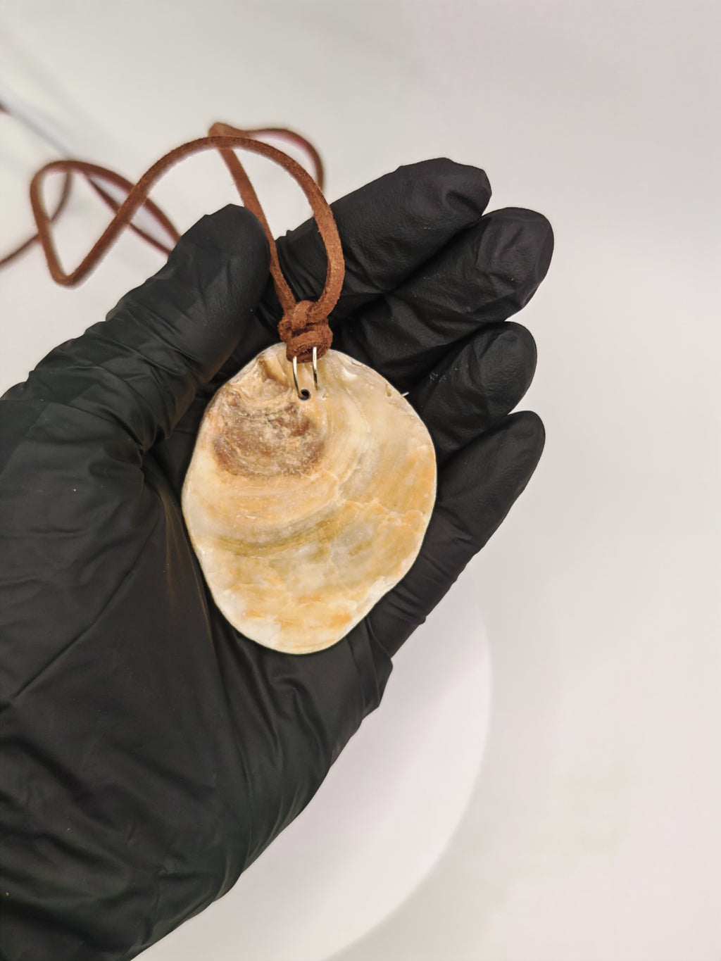 Seashell Pendant Necklace: Brown Suede Cord, Handmade Boho Beach Jewelry